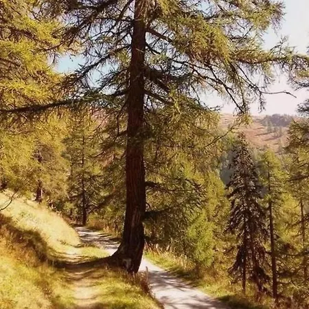 Angelika By Interhome