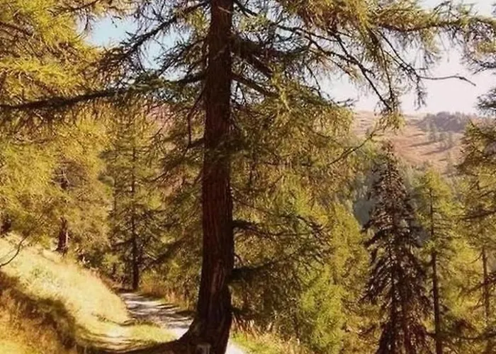 Angelika By Interhome